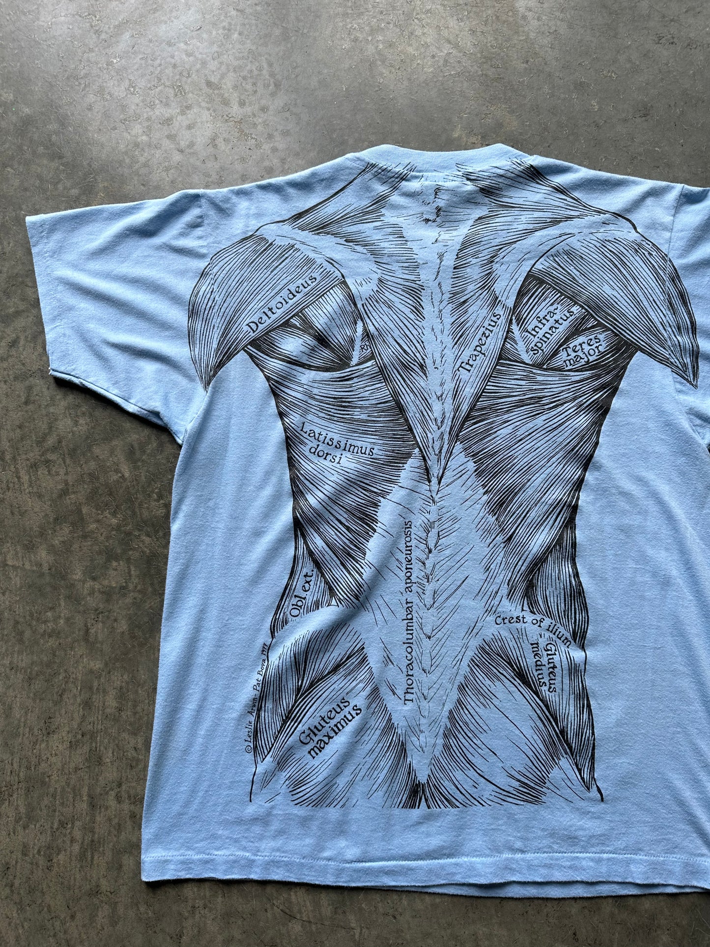 1970’S ANATOMY TEE(L)