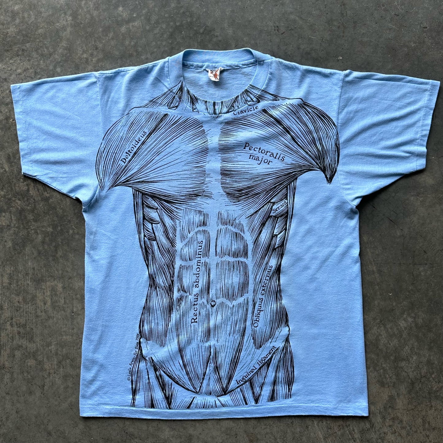 1970’S ANATOMY TEE(L)