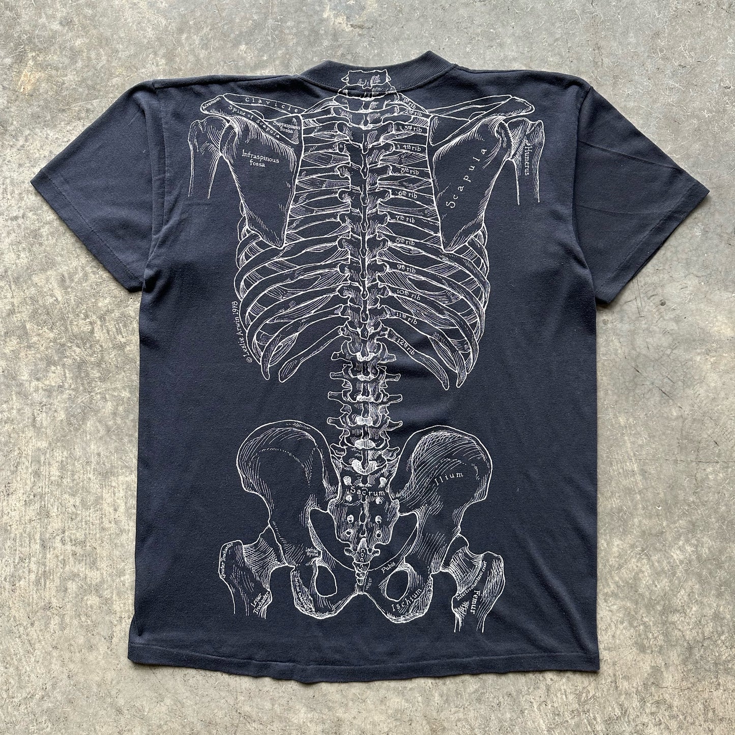 1970’S ANATOMY TEE