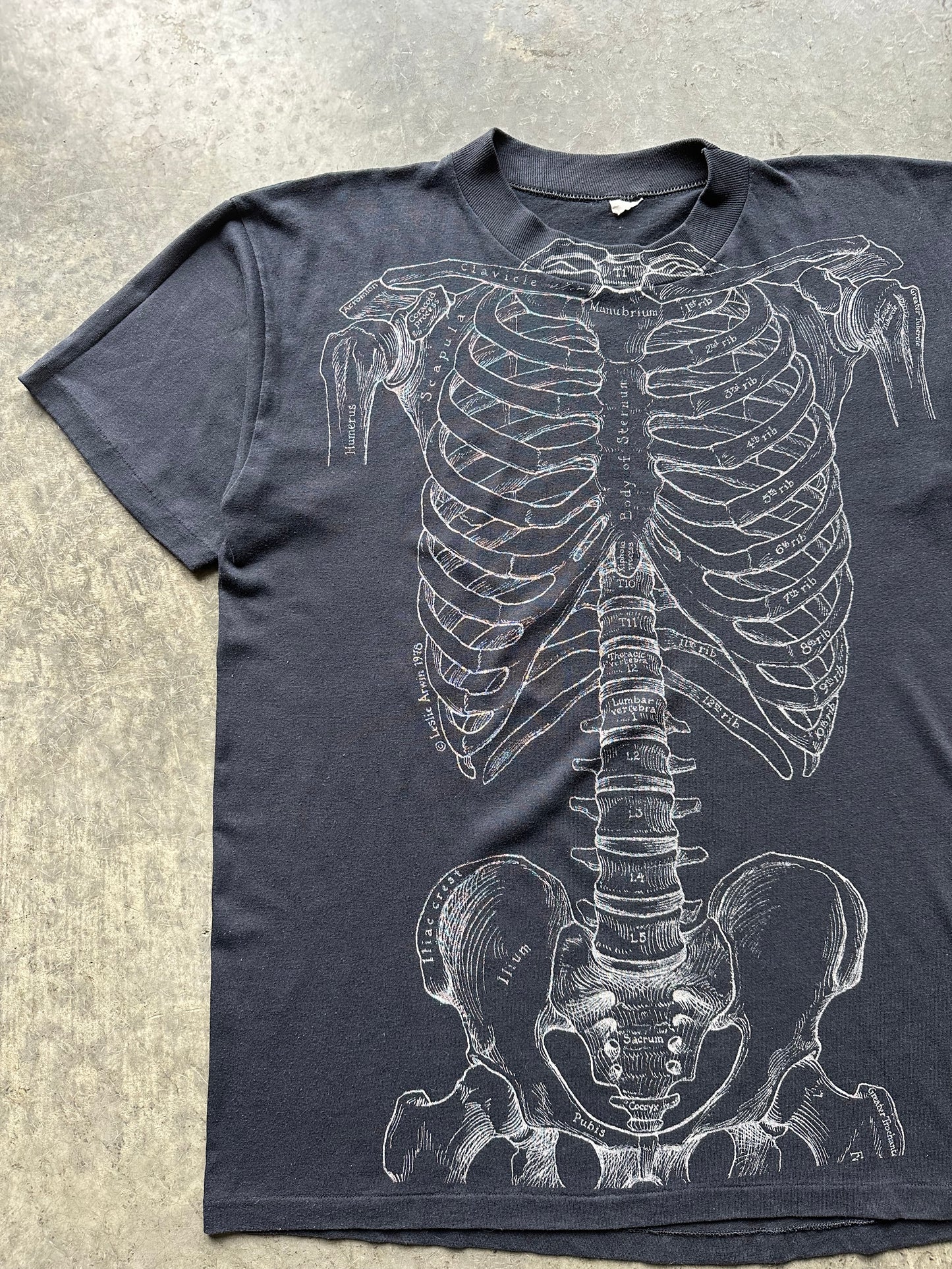 1970’S ANATOMY TEE